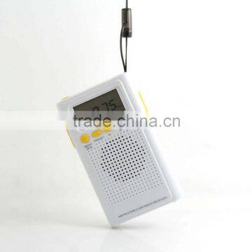 New and Hot Sell With LCD Display am fm Radio photo-6