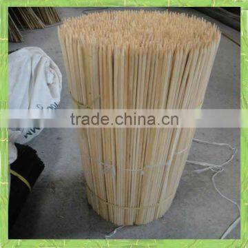 Plant support of bamboo stick