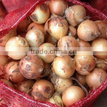 Fresh Onion Prices From Shandong China photo-2