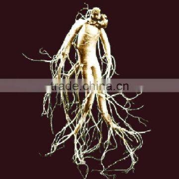 Ginseng Extract Powder For Nutrient