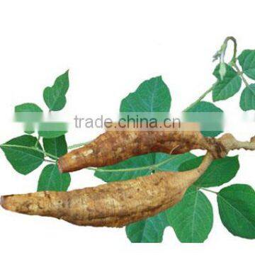 Factory Supply Kudzu Root Extract Powder