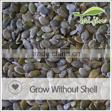 Good quality GWS pumpkin seed oil price on sale