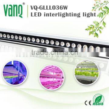 High Par 3.3ft IP65 36W LED Grow Bar Light for Greenhouse