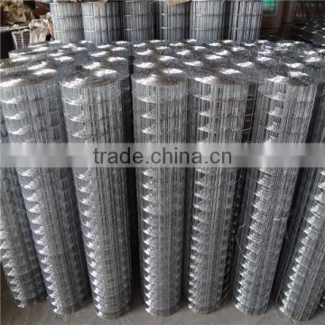 Factory suply high quality galvanized wire mesh