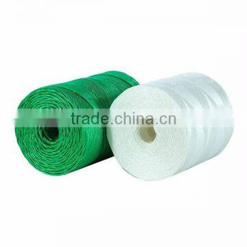 Polypropylene Baler Twine for Warning photo-4