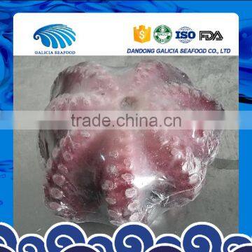 Frozen Blanched Octopus Flower Type