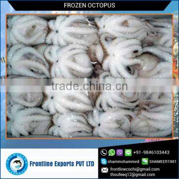 High Quality Cleaned Octopus from Trusted Supplier