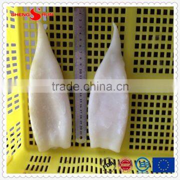 Frozen IQF Pacific Squid Tube u5 photo-3