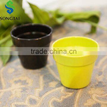 succulent plant round plastic flower pot