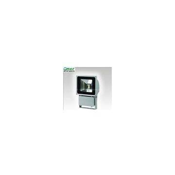 LED Flood light