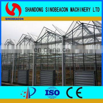 2017 Commercial Agricultural Aquaponics Greenhouse For Planting Vegetables