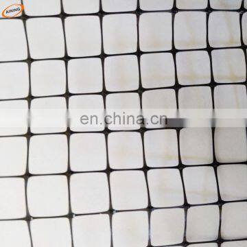 Black extrusion blueberry anti bird netting