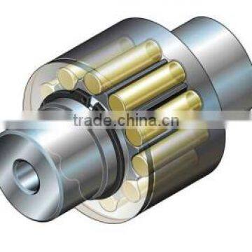 Good Quality Elastic Pin Bush Coupling