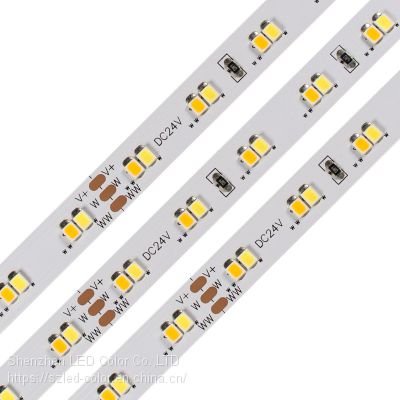 DC24V SMD 2835 CCT Dimmable LED Strip warm white cool white LED Strip