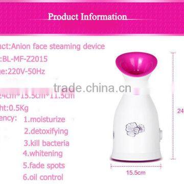 Mini Facial Steamer Vaporizer photo-5