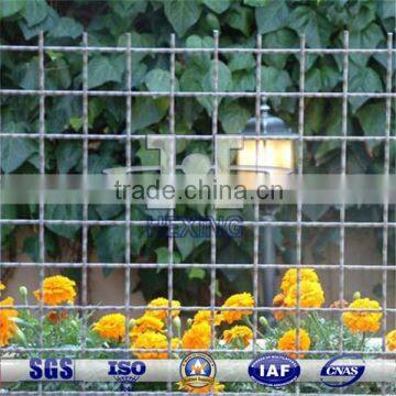 hot dip galvanized crimped wire mesh for fencing use