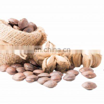 100% Organic Sacha Inchi Wholesale/Supply SACHA INCHI From VIETNAM With Good Price photo-4