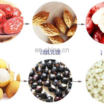 Apricot Core Mango Remove and Pulp Machine for Nucleated Fruit. photo-4