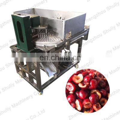 Date Deseeding Machine for Sale From Elva