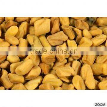 Methi Dana, Methi Seeds, Fenugreek Seeds photo-3
