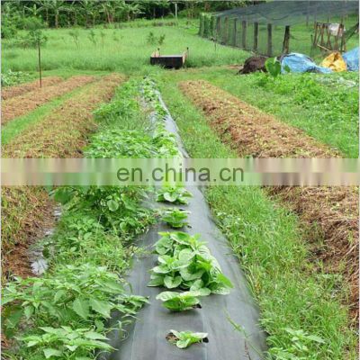 PP Woven Ground Cover