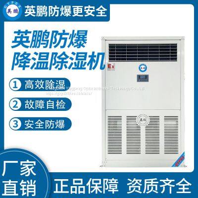 Guangzhou Yingpeng explosion-proof vertical cabinet cooling and dehumidifying machine 10KG