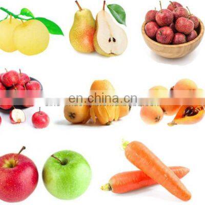 Industrial Belt Type Apple Juice Pressing Machine/NFC Apple Juice photo-5