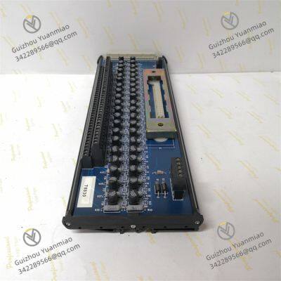 ROCKWELL T8830 Trusted 40 Channel Analogue Input FTA photo-2