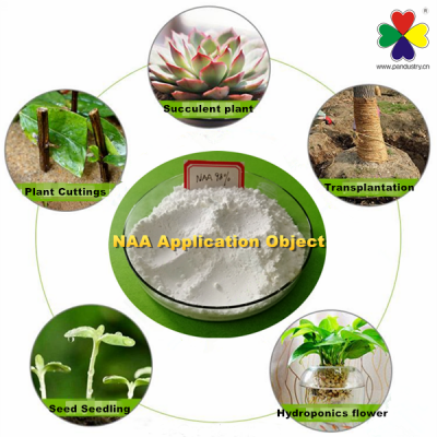 Hot Sale Chemical Naa 98%TC 1-Naphthylacetic Acid for Sale photo-2