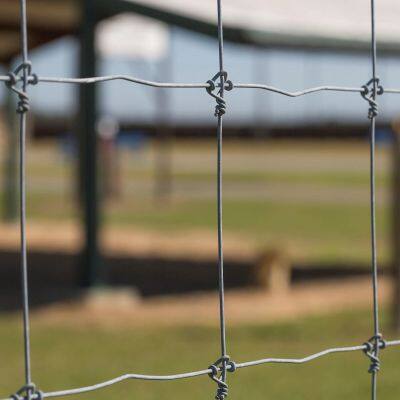 Heavy Duty Deer Enclosure Mesh Garden Fence Animal Barrier Field Wire Mesh Deer Netting photo-2