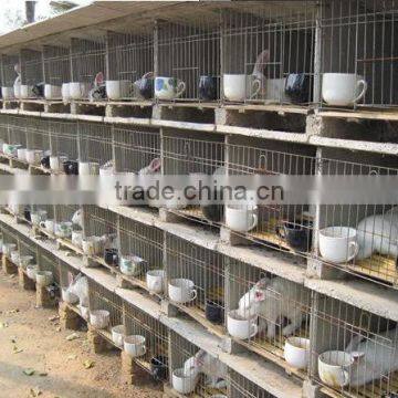 battery rabbit cage/ poultry rabbit cage/ quail cage/chicken coop for poultry farm