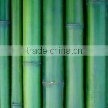 Color bamboo pole Sun-011