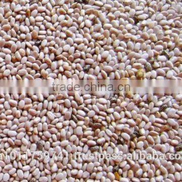 Chia Seeds White