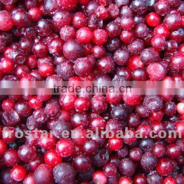 IQF Frozen lingonberry