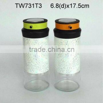 TW731T3 glass oil and vinegar bottle set with metal casing