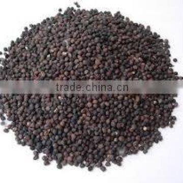 Kapok Seed Meal photo-2