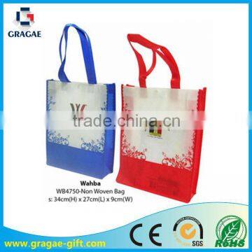 Painted Design Non Woven Bag/ Shopping Bag