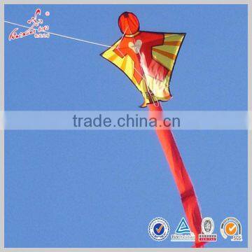 Weifang Kaixuan Special Shape Kids Kite