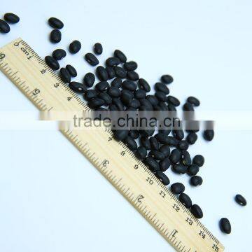 Black Kidney Beans Black Kidney Beans photo-4