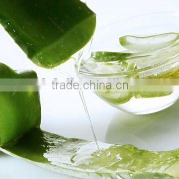 100% pure aloe vera gel