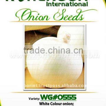 White Onion Seeds | WG#0555t