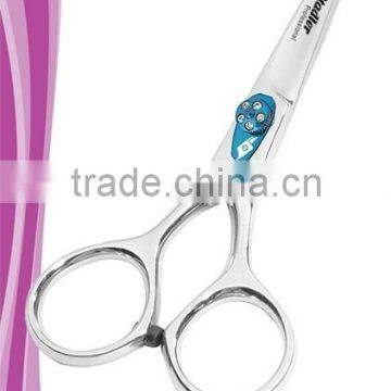 Hair Styling Shears