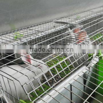 Automatic Rabbit Farming Equipment for Rex Rabbit