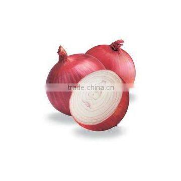 ONIONS