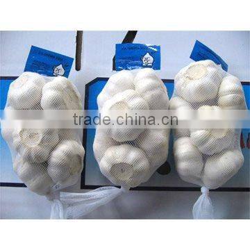 Fresh China Garlic photo-4