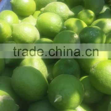 Citrus Fruit Product Type and GREEN-YELLOW Color LEMON