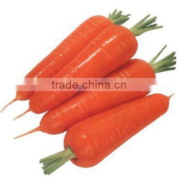 2014 New Crop Chinese Grade A carrot(S,M,L)