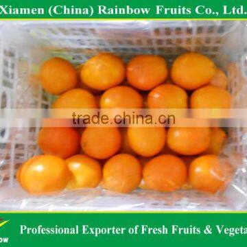 Fresh Navel Orange photo-2