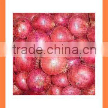 Best quality fresh red onion from china with high quality