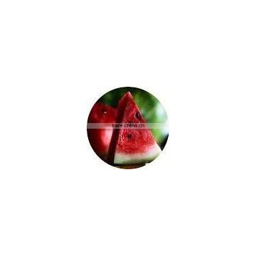 watermelon extract powder